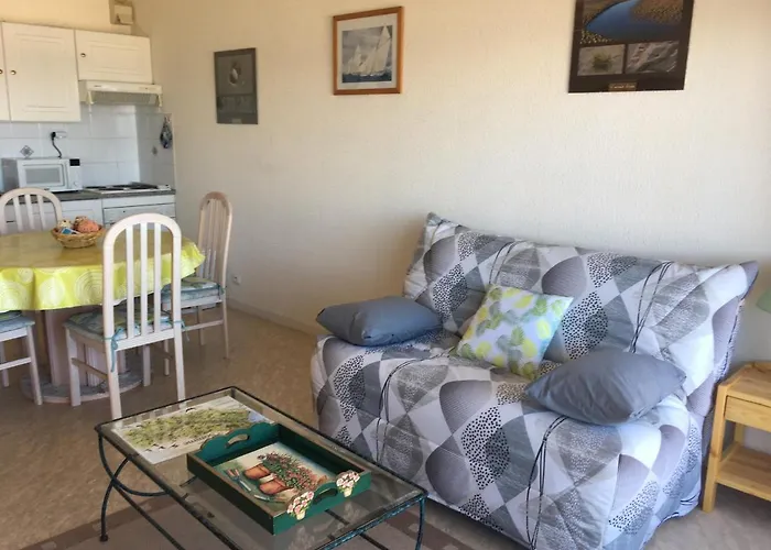 : Cosy A Deux Pas De La Mer, Animaux Admis, Parking Privatif - Fr-1-482-27 Apartment